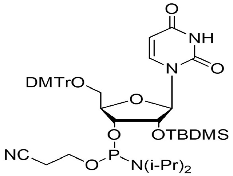 5'-ODMT-2’-OTBDMS uridine amidite   
